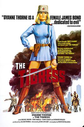 磁力手机海报剧照